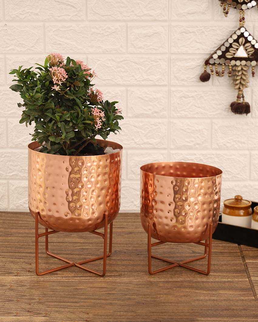 Olive Hammered Metal Planters | Set Of 2 | Plant not included