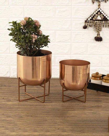 Olive Glossy Metal Planters with Stands | Set Of 2 | Plant not included