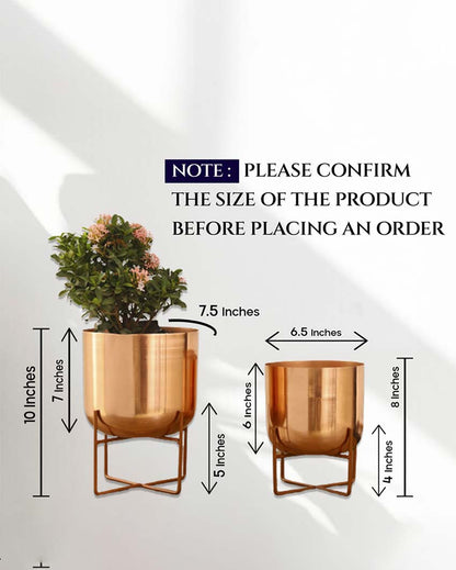 Olive Glossy Metal Planters with Stands | Set Of 2 | Plant not included