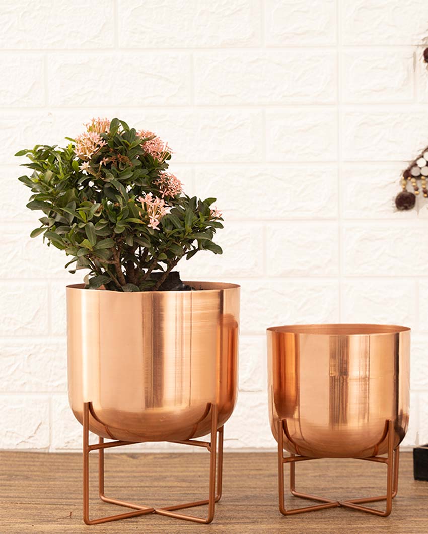 Olive Glossy Metal Planters with Stands | Set Of 2 | Plant not included