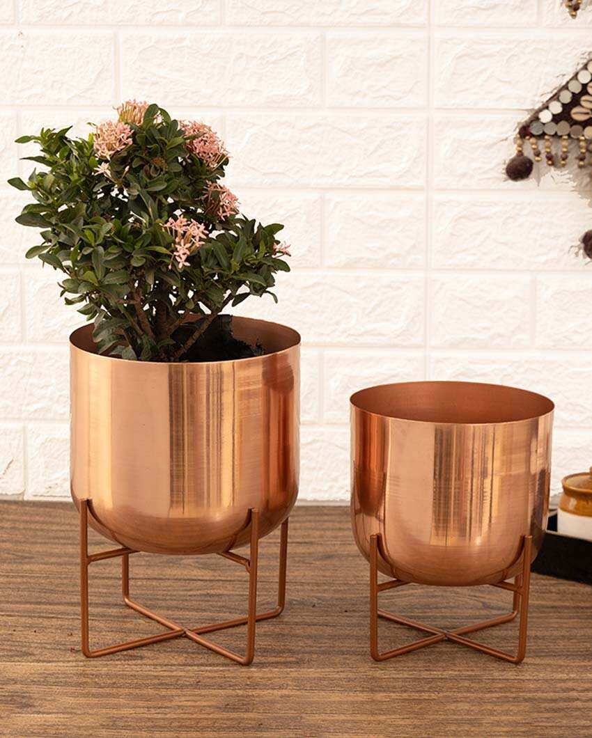 Olive Glossy Metal Planters with Stands | Set Of 2 | Plant not included