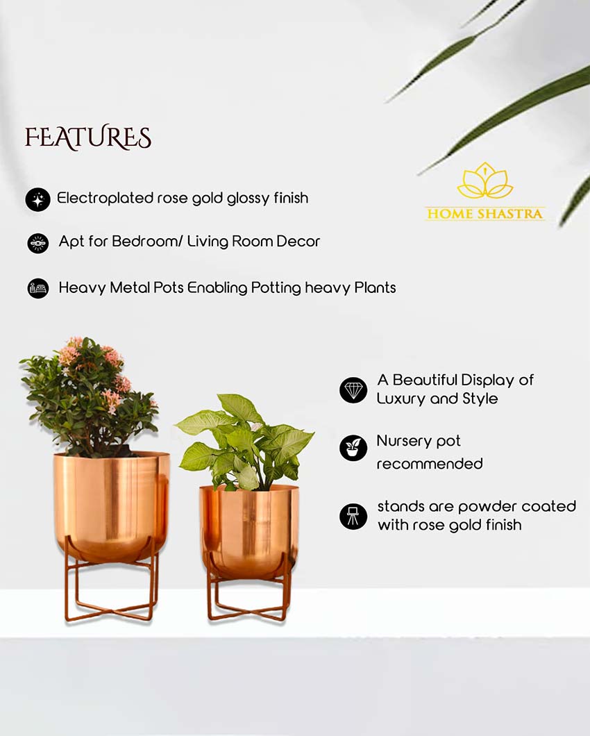 Olive Glossy Metal Planters with Stands | Set Of 2 | Plant not included