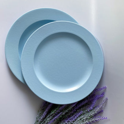 Classic Powder Blue Stoneware Pasta Plates | Set Of 2