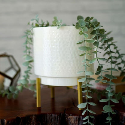 Elegant White Design Hammered Indoor Planter with Stand | 6 x 8 inches