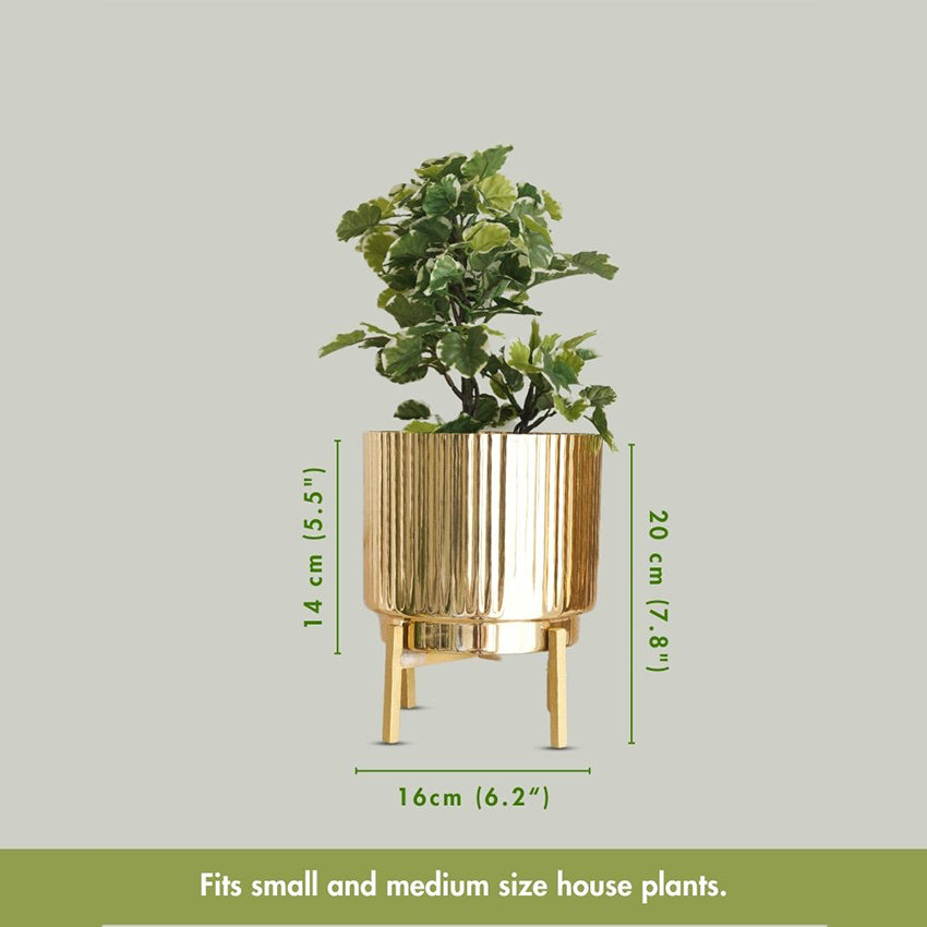 Premium Golden Finish Fluted Planter Without Plant