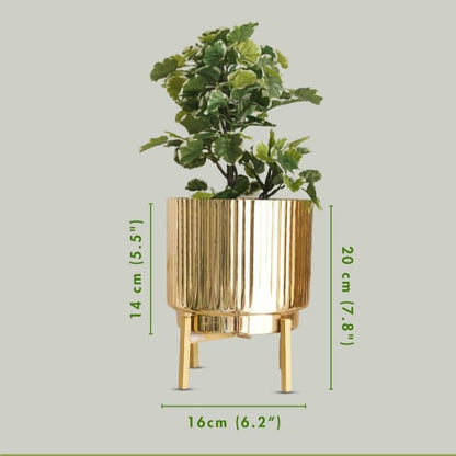 Premium Golden Finish Fluted Planter Without Plant