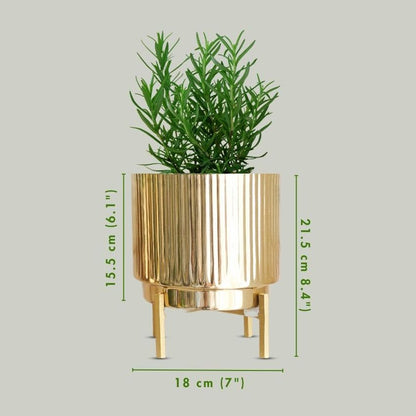 Premium Golden Finish Fluted Planter Without Plant