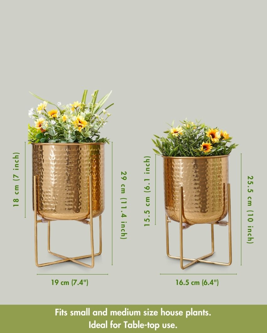 Radiance Hammered Golden Shade Planter Without Plant | Pack of 2