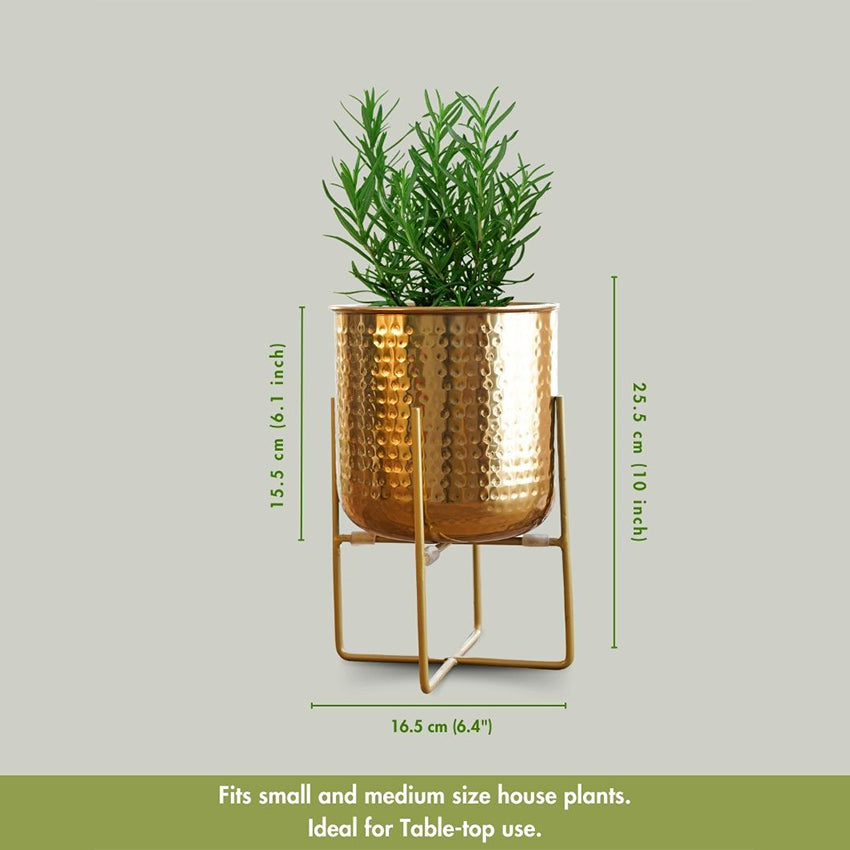 Hand Hammered Glossy Golden Finish Planter Without Plant | 6 x 10 inches