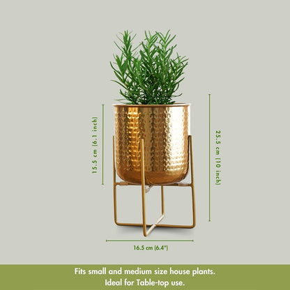 Hand Hammered Glossy Golden Finish Planter Without Plant | 6 x 10 inches