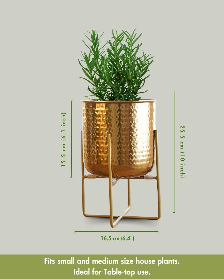 Hand Hammered Glossy Golden Finish Planter Without Plant | 6 x 10 inches