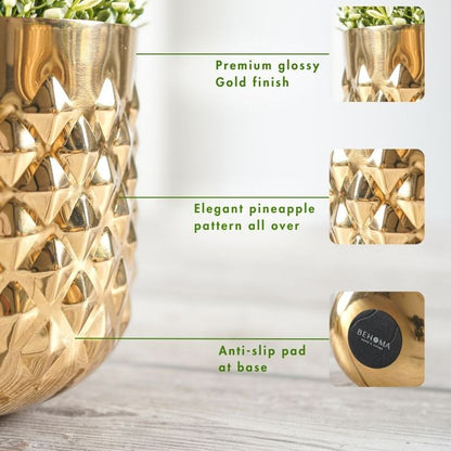 Elegant Golden Shade Pineapple Indoor Planter | Set of 2 | 6 X 5 inches