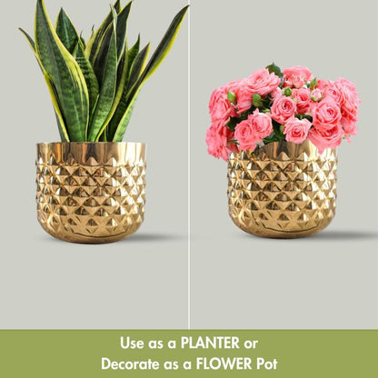 Elegant Golden Shade Pineapple Indoor Planter | Set of 2 | 6 X 5 inches