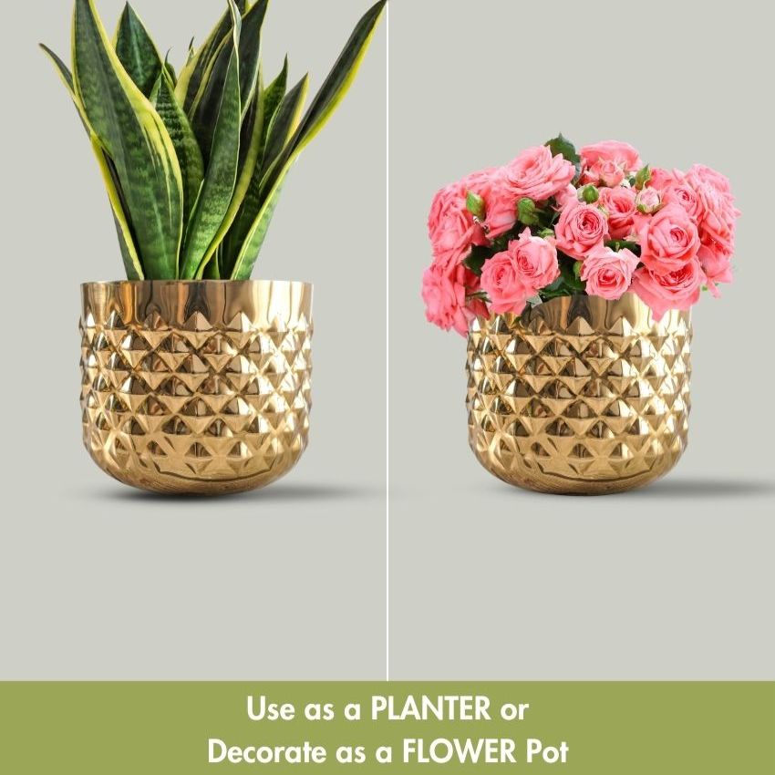 Beautiful Pineapple Design Golden Shade Planter without Plant | 6 x 5 inches