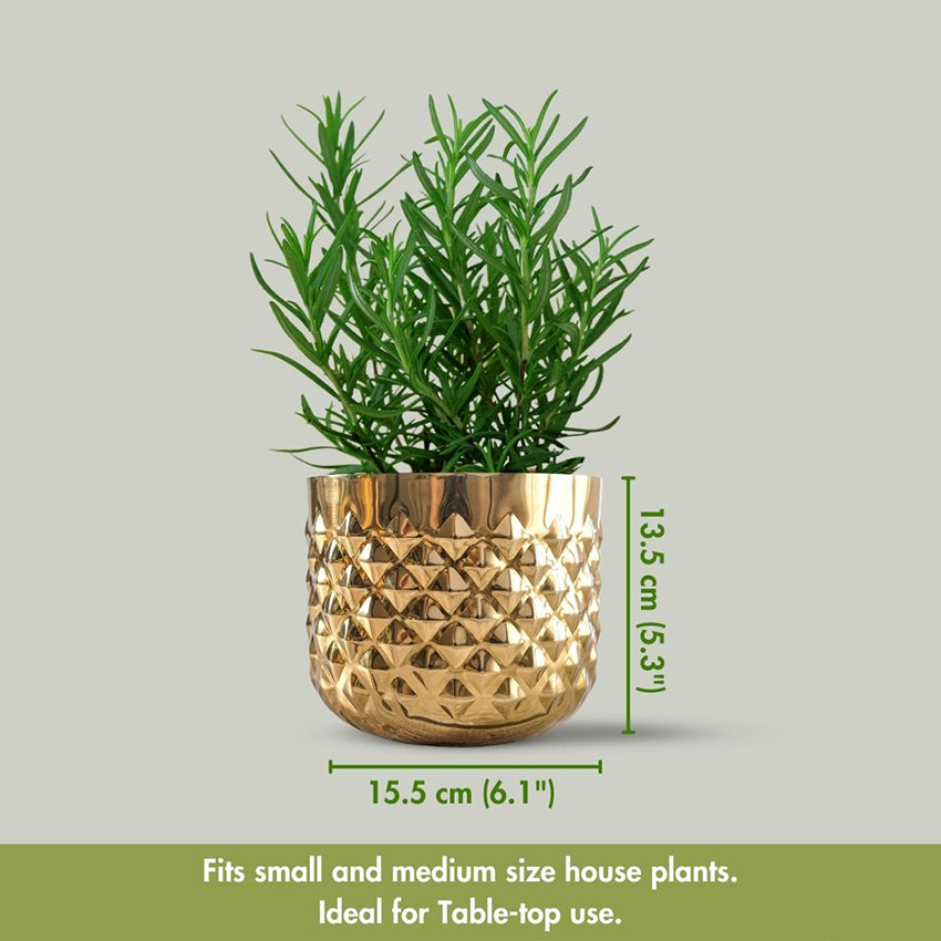 Beautiful Pineapple Design Golden Shade Planter without Plant | 6 x 5 inches