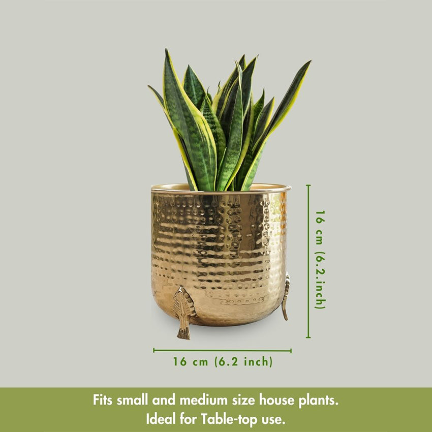 Leaf Leg Golden Shade Hammered Planter without Plant | 6 x 6 inches