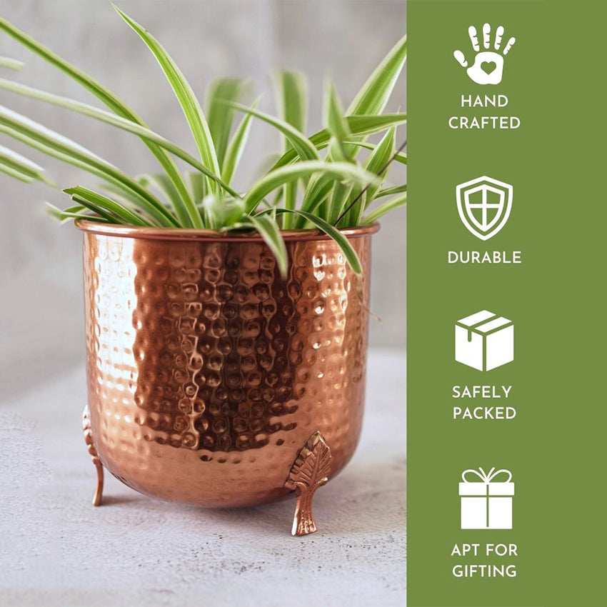 Leaf Leg Design Hammered Copper Finish Planter Without Plant | 6 x 6 inches