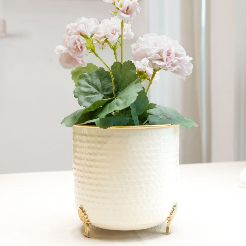 Beautiful Metal Leaf Leg Indoor Planter | 7 x 7 inches