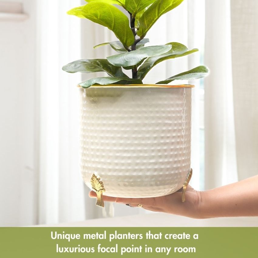 Beautiful Metal Leaf Leg Indoor Planter | 7 x 7 inches