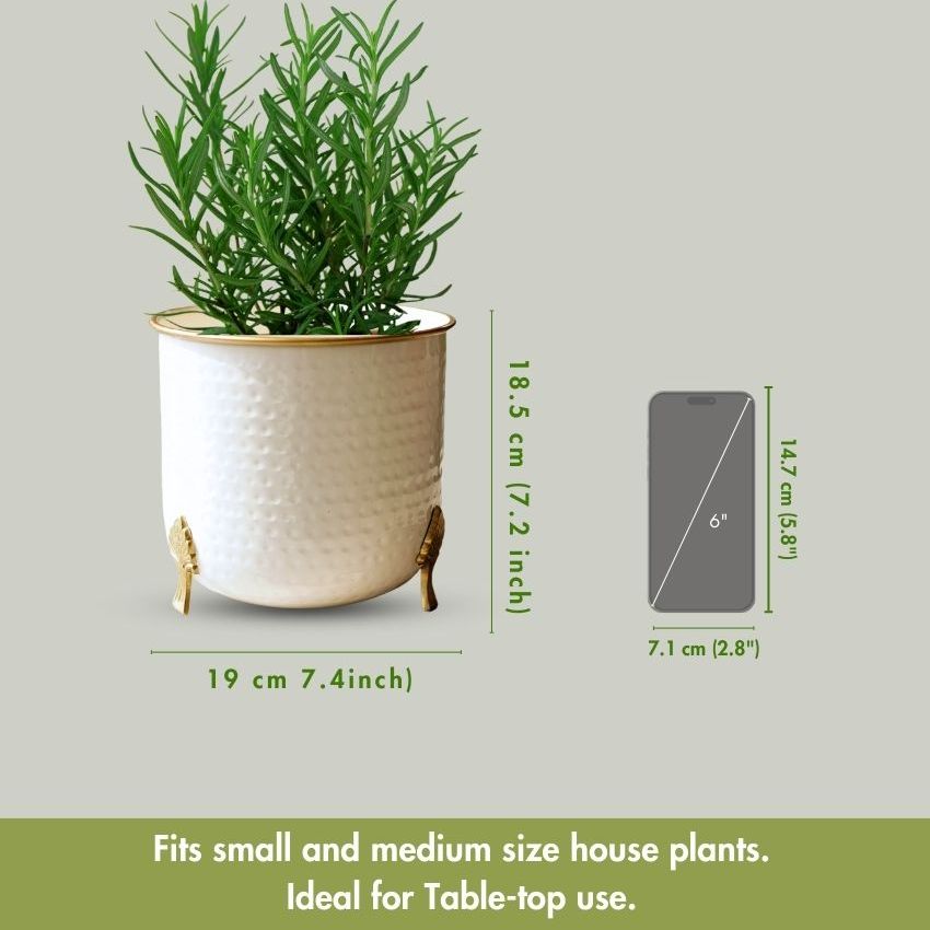 Beautiful Metal Leaf Leg Indoor Planter | 7 x 7 inches