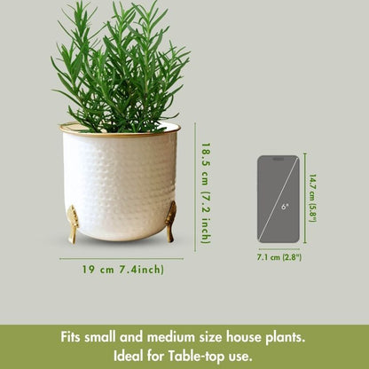 Beautiful Metal Leaf Leg Indoor Planter | 7 x 7 inches