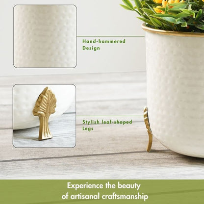 Beautiful Metal Leaf Leg Indoor Planter | 7 x 7 inches