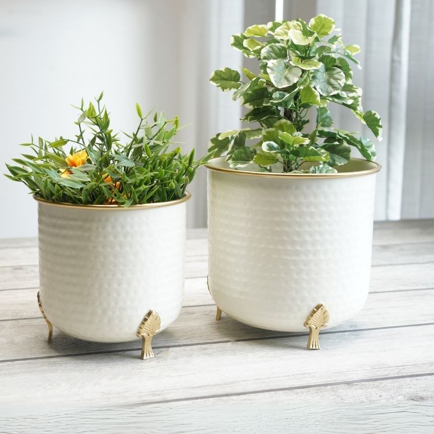 Beautiful White Shade Metal Gold Rim Leaf Leg Planter | Pack of 2