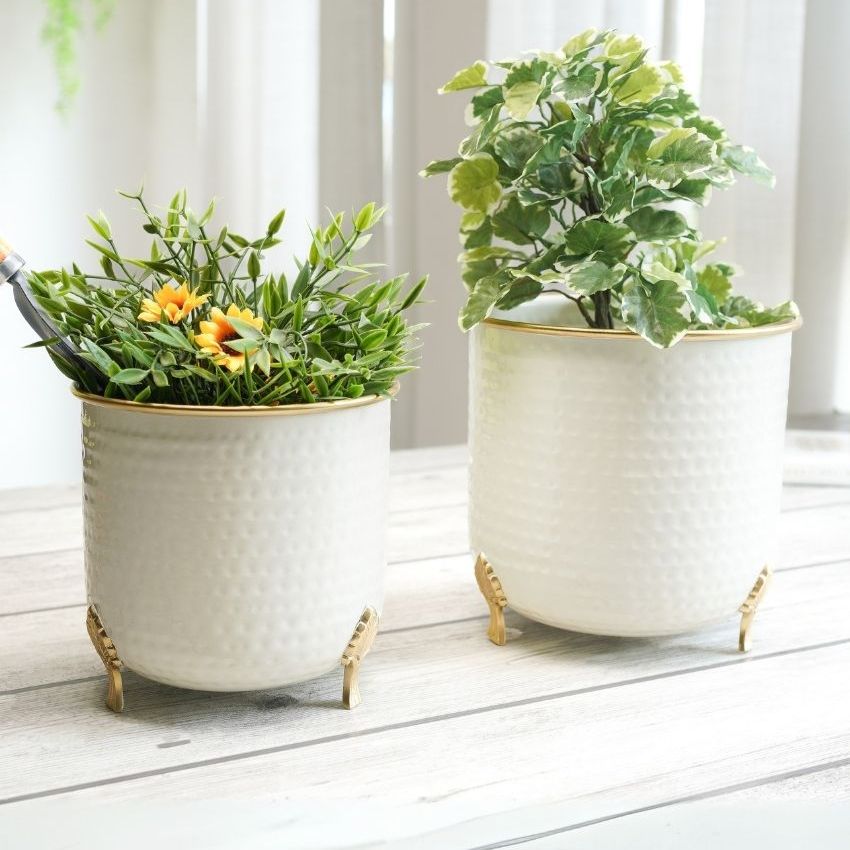 Beautiful White Shade Metal Gold Rim Leaf Leg Planter | Pack of 2