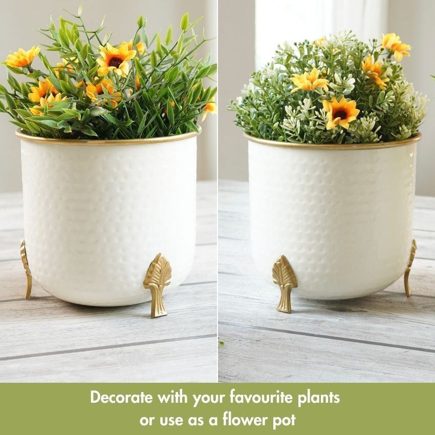 Beautiful White Shade Metal Gold Rim Leaf Leg Planter | Pack of 2