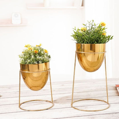 Elegant Golden Shade Planter with Round Gold Stand | Pack of 2