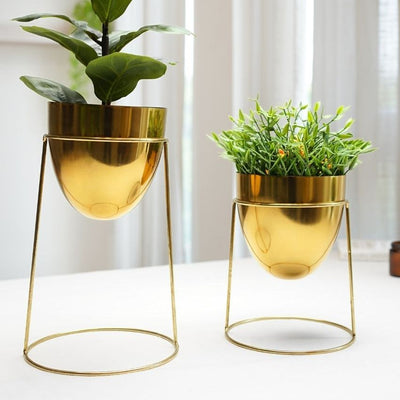 Elegant Golden Shade Planter with Round Gold Stand | Pack of 2