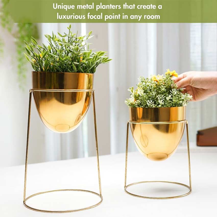 Elegant Golden Shade Planter with Round Gold Stand | Pack of 2