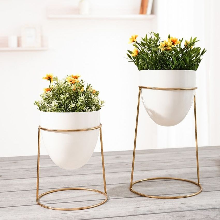 Elegant Golden Shade Planter with Round Gold Stand | Pack of 2