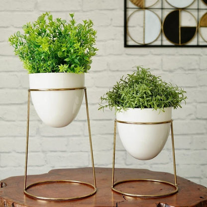 Elegant Golden Shade Planter with Round Gold Stand | Pack of 2