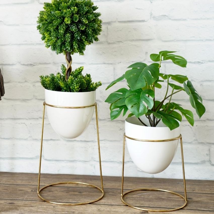 Elegant Golden Shade Planter with Round Gold Stand | Pack of 2