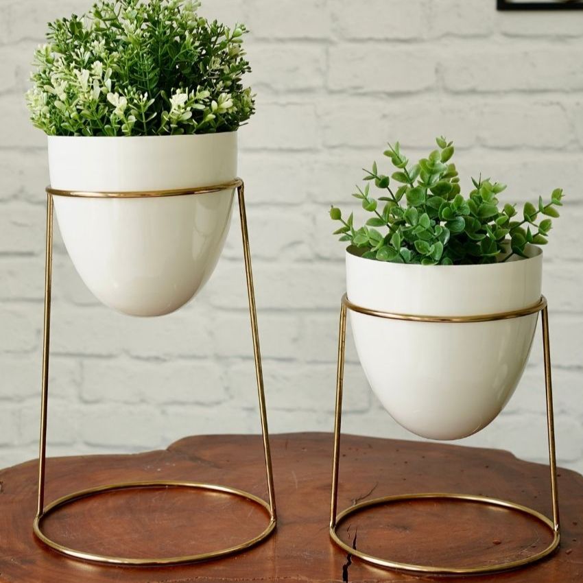 Elegant Golden Shade Planter with Round Gold Stand | Pack of 2