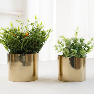 Elegant Golden Mini Table-top Metal Planter | Pack of 2