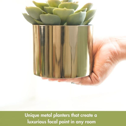 Elegant Golden Mini Table-top Metal Planter | Pack of 2