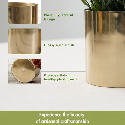 Elegant Golden Mini Table-top Metal Planter | Pack of 2