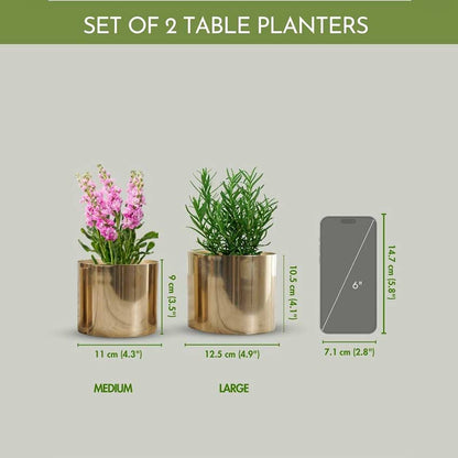 Elegant Golden Mini Table-top Metal Planter | Pack of 2