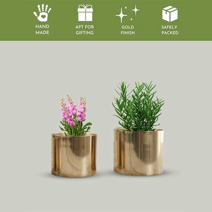 Elegant Golden Mini Table-top Metal Planter | Pack of 2