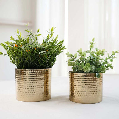 Elegant Design Gold Shade Mini Table-top Hammered Planter | Pack of 2