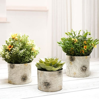 Beautiful Off-White Mini Table-top Metal Planter | Pack of 3