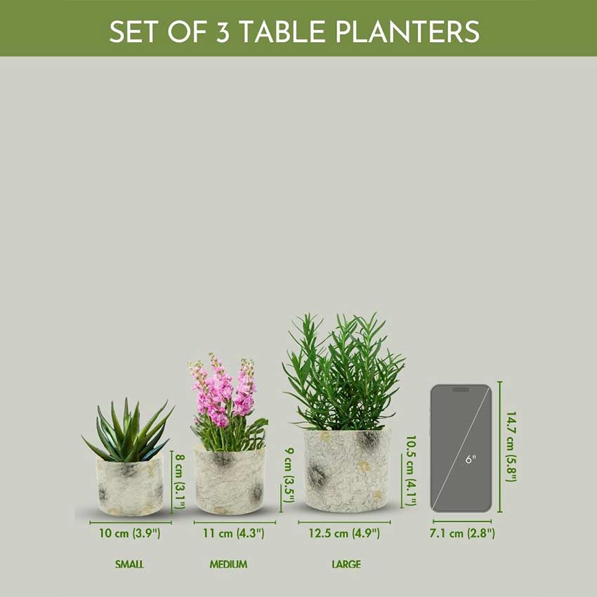 Beautiful Off-White Mini Table-top Metal Planter | Pack of 3