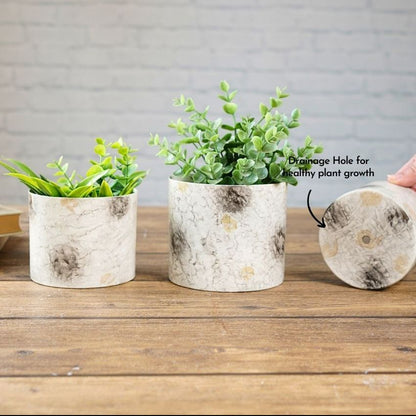 Beautiful Off-White Mini Table-top Metal Planter | Pack of 3