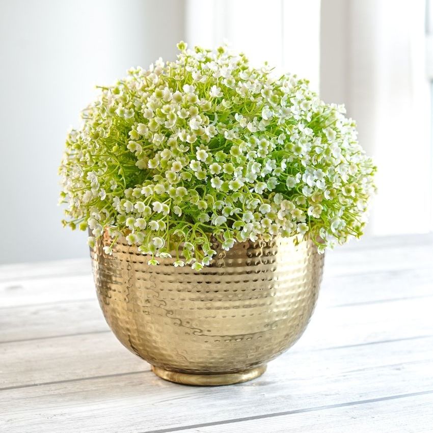 Elegant Golden Design Hammered Bowl Planter | 8 x 6 inches