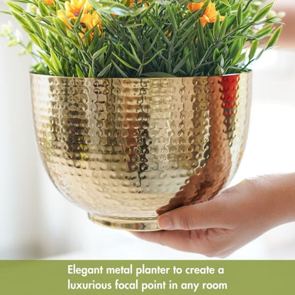 Elegant Golden Design Hammered Bowl Planter | 8 x 6 inches