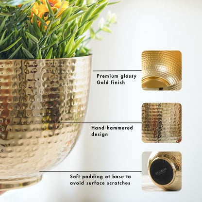 Elegant Golden Design Hammered Bowl Planter | 8 x 6 inches