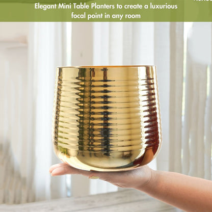 Compact Ribbed Golden Shade Planter Without Plant