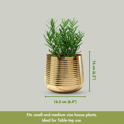 Compact Ribbed Golden Shade Planter Without Plant